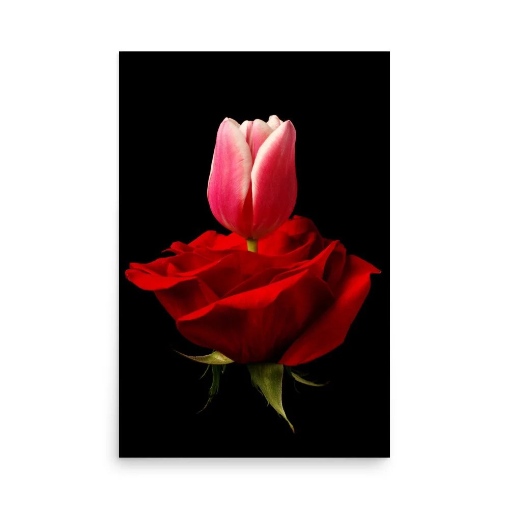 enhanced-matte-paper-poster-(in)-24x36-front-6a7900f280c9f.jpg