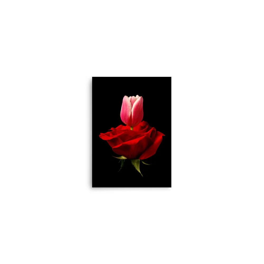 enhanced-matte-paper-poster-(in)-5x7-front-6a7900f280d03.jpg