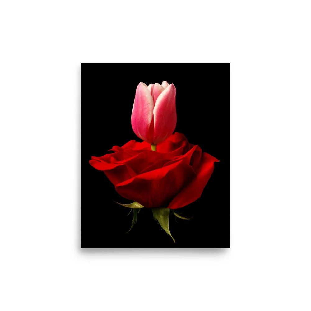 enhanced-matte-paper-poster-(in)-8x10-front-6a7900f280d39.jpg