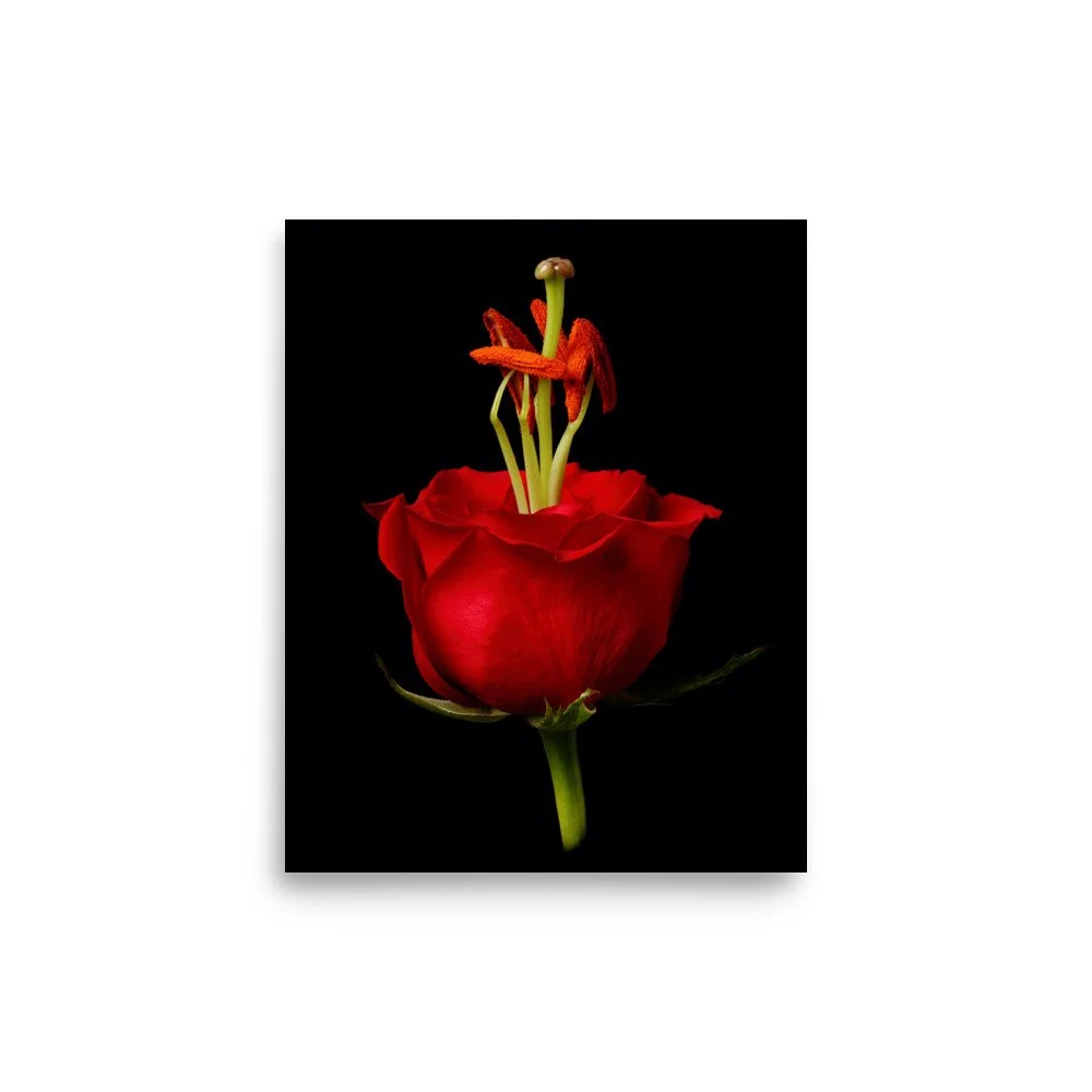 enhanced-matte-paper-poster-(in)-8x10-front-6a79081e2a1bf.jpg