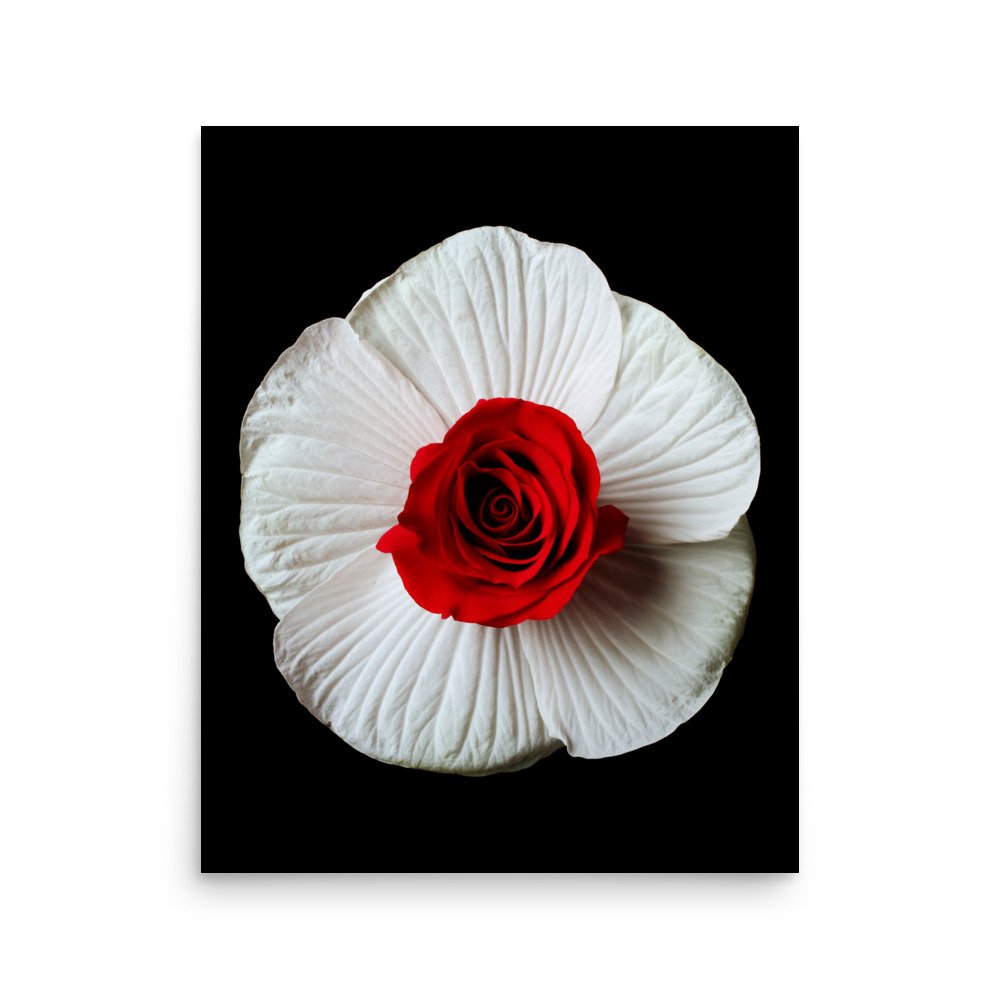 enhanced-matte-paper-poster-(in)-16x20-front-6a793eb72b83d.jpg