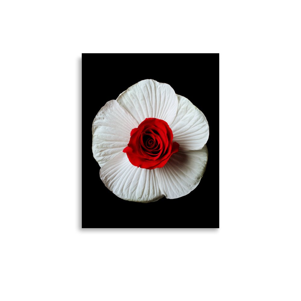 enhanced-matte-paper-poster-(in)-11x14-front-6a793eb72c1a3.jpg