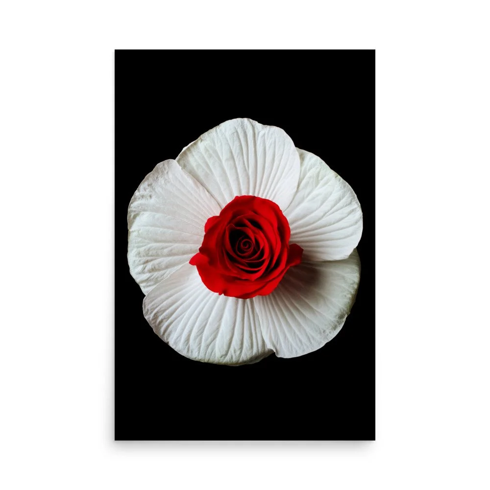 enhanced-matte-paper-poster-(in)-24x36-front-6a793eb72c22b.jpg