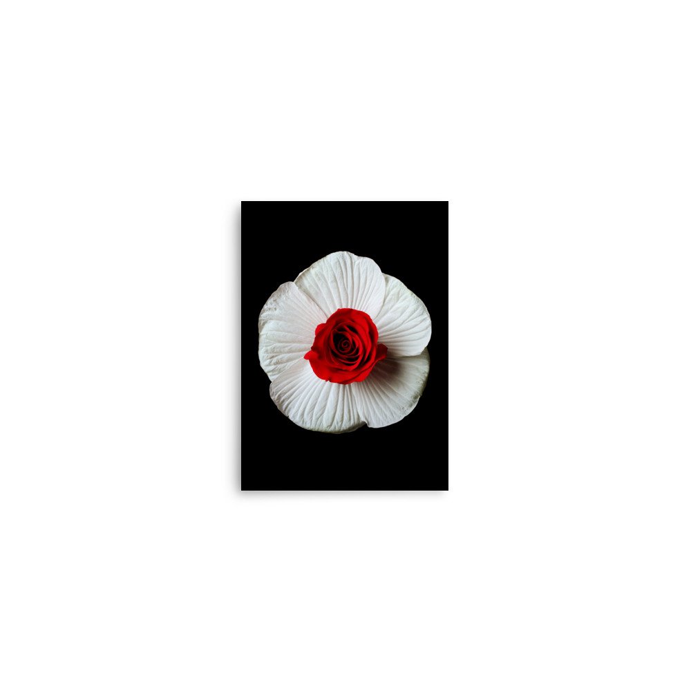enhanced-matte-paper-poster-(in)-5x7-front-6a793eb72c290.jpg