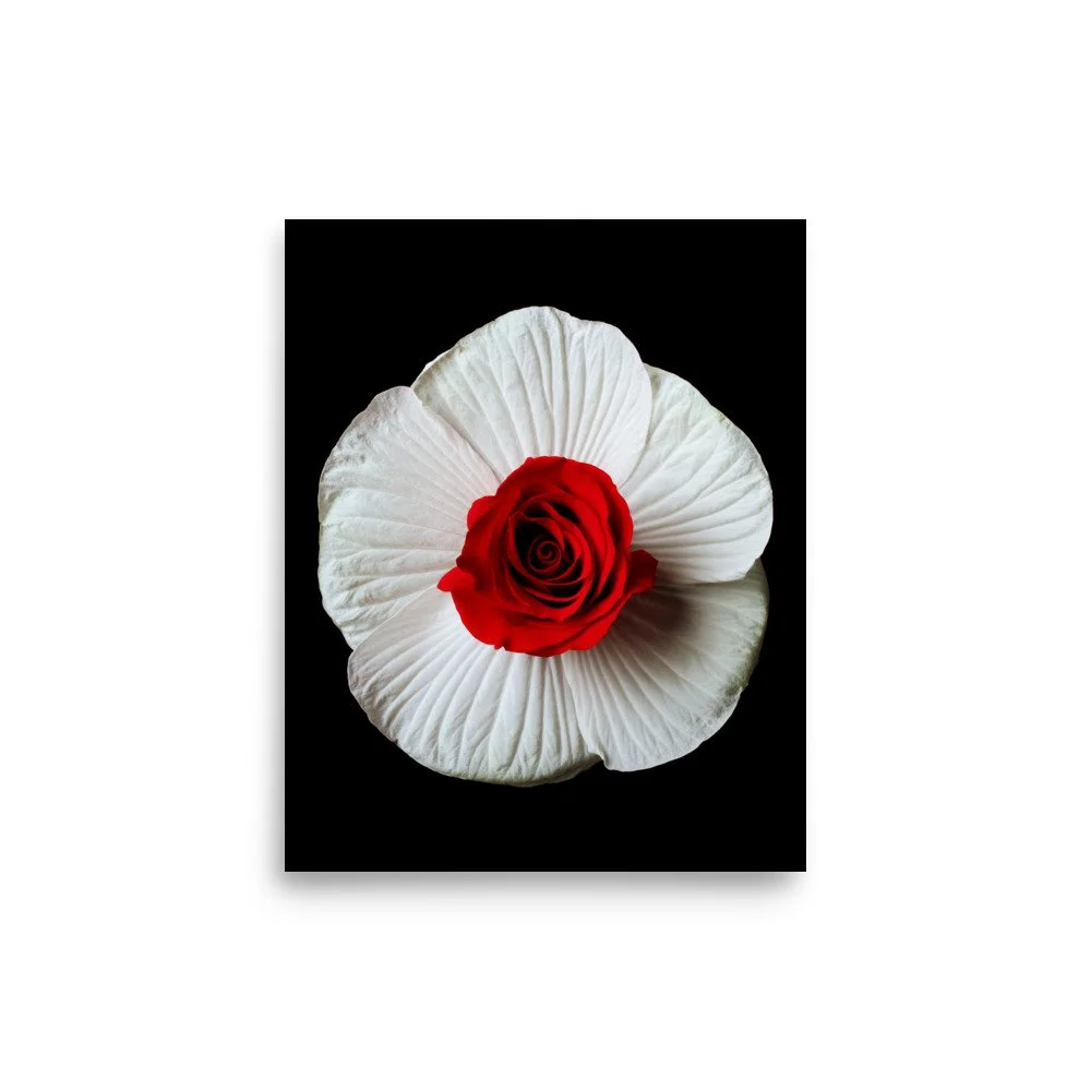 enhanced-matte-paper-poster-(in)-8x10-front-6a793eb72c2c6.jpg