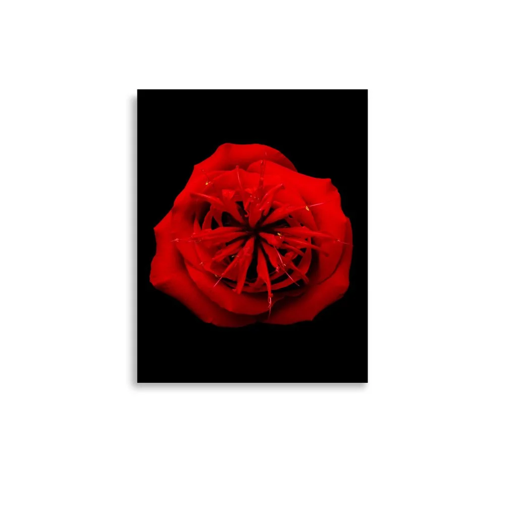 enhanced-matte-paper-poster-(in)-11x14-front-6a7a48cf952c9.jpg