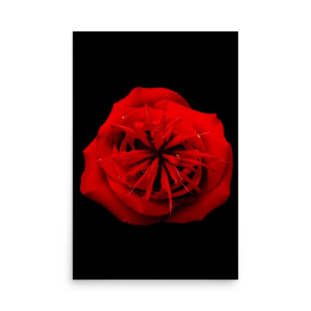 enhanced-matte-paper-poster-(in)-24x36-front-6a7a48cf95350.jpg