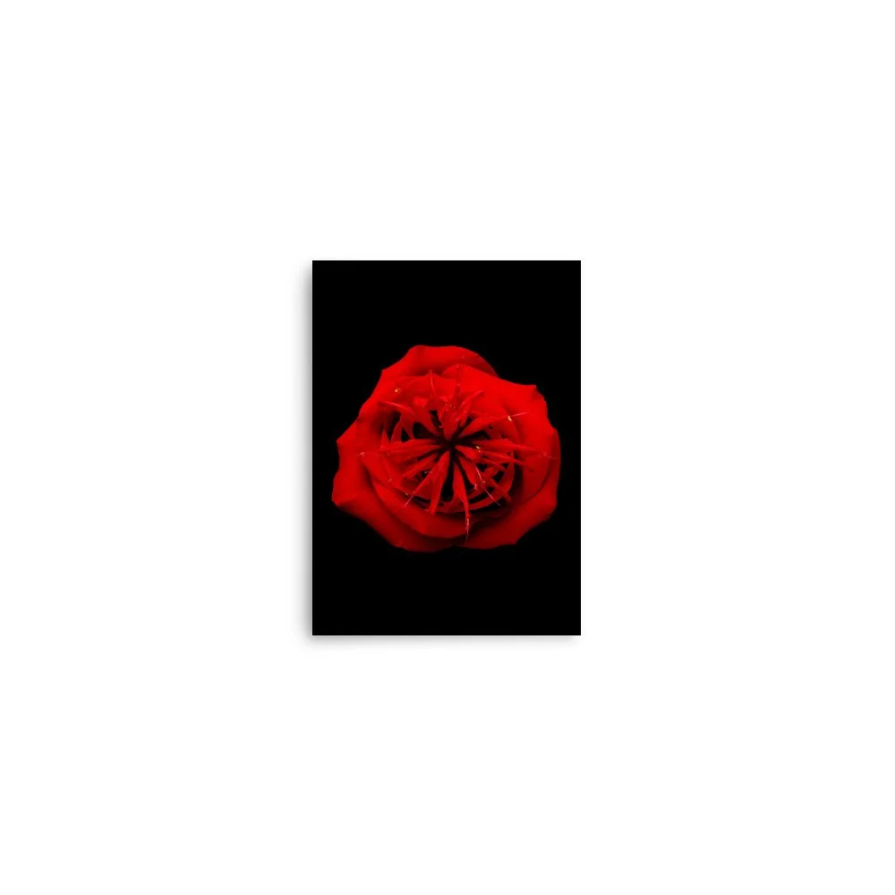 enhanced-matte-paper-poster-(in)-5x7-front-6a7a48cf953ac.jpg