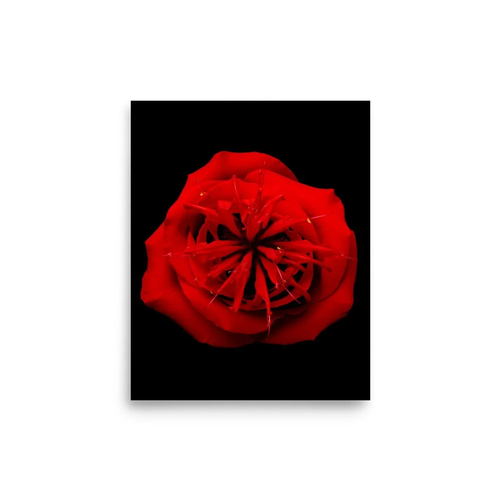enhanced-matte-paper-poster-(in)-8x10-front-6a7a48cf953e0.jpg