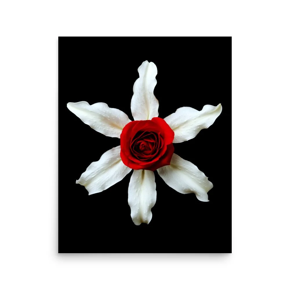 enhanced-matte-paper-poster-(in)-16x20-front-6a7b4da530e1e.jpg