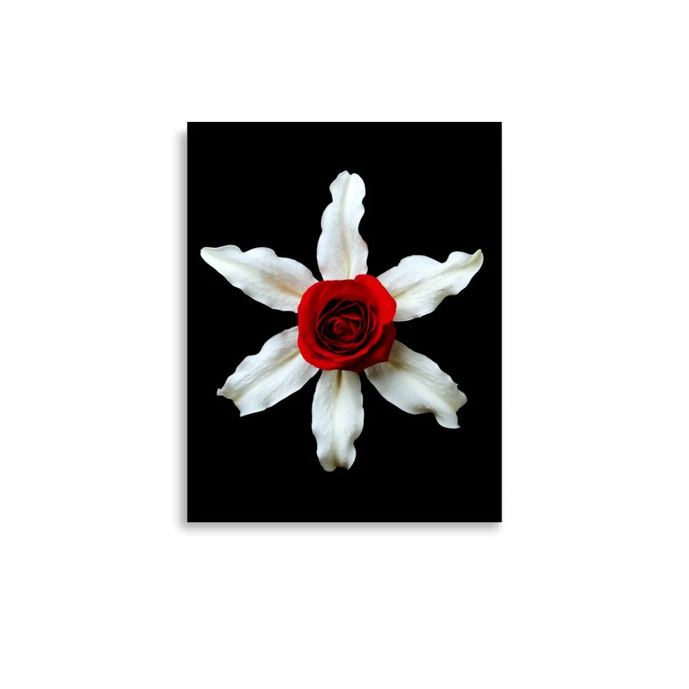 enhanced-matte-paper-poster-(in)-11x14-front-6a7b4da531cd4.jpg