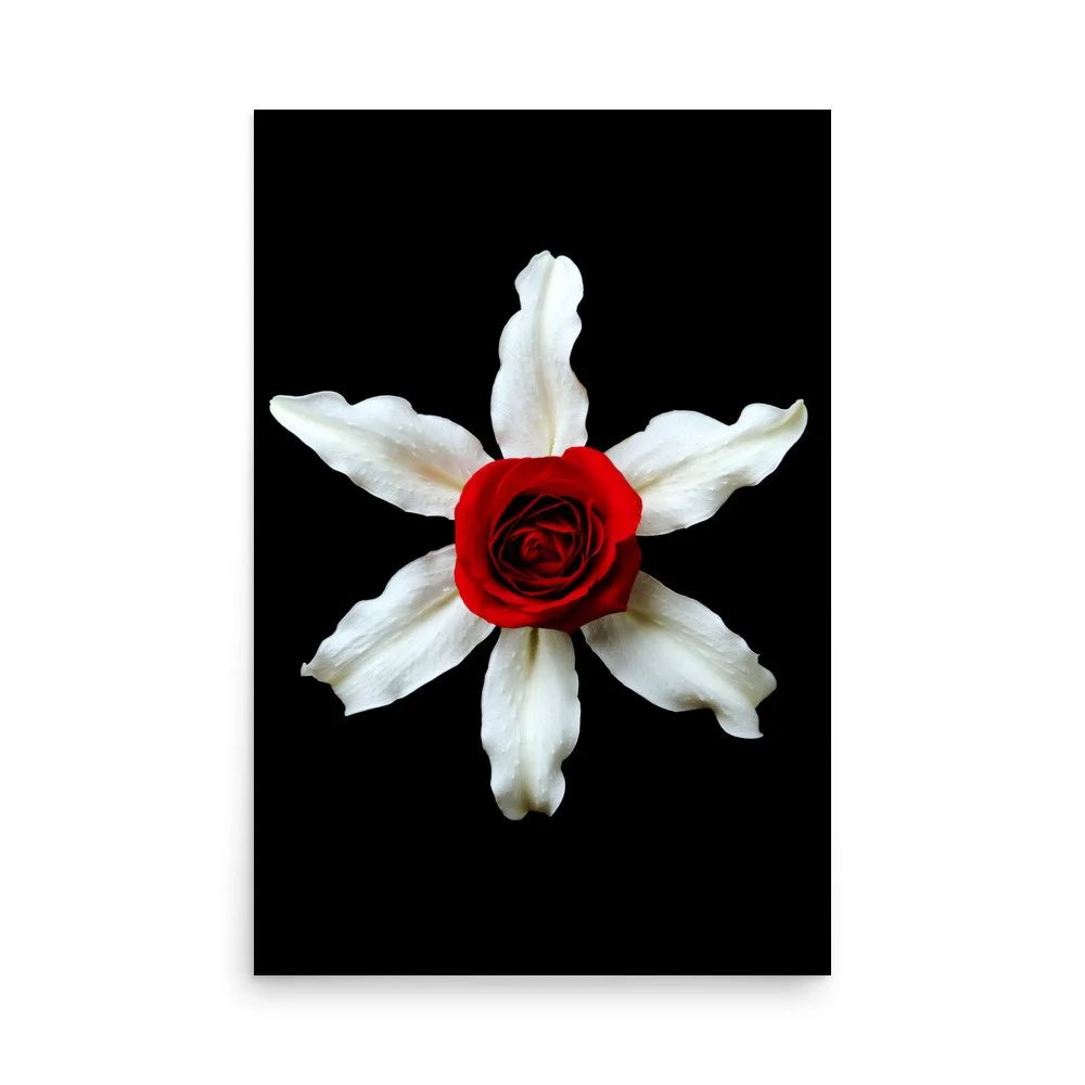 enhanced-matte-paper-poster-(in)-24x36-front-6a7b4da531d6c.jpg