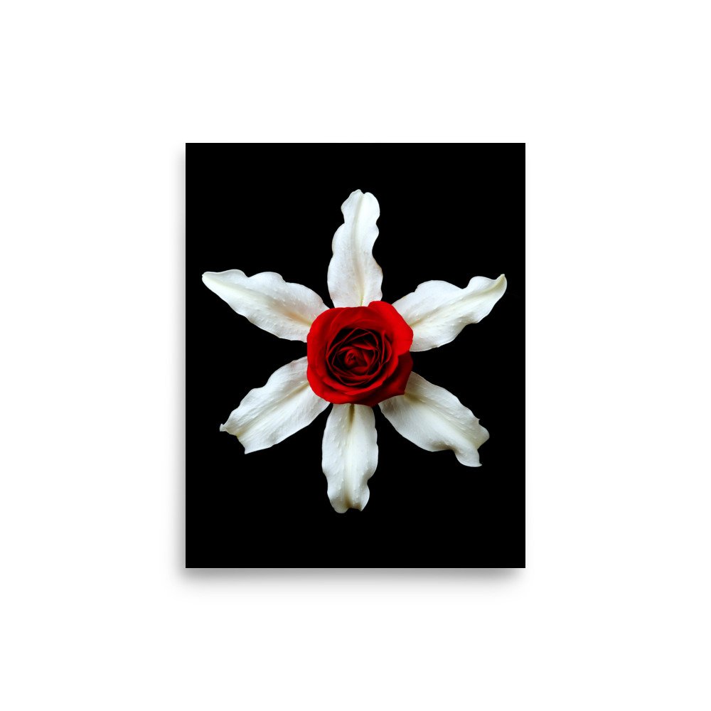 enhanced-matte-paper-poster-(in)-8x10-front-6a7b4da531e09.jpg