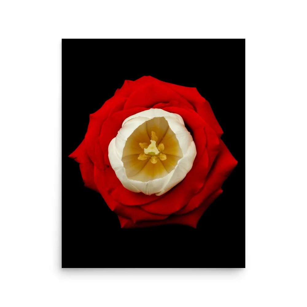 enhanced-matte-paper-poster-(in)-16x20-front-6a7b52954d993.jpg