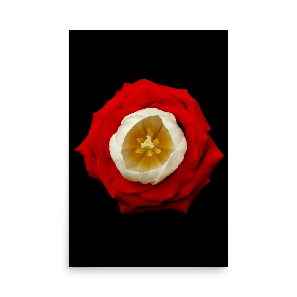 enhanced-matte-paper-poster-(in)-24x36-front-6a7b52954e8cc.jpg