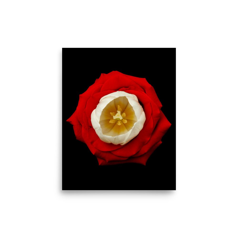enhanced-matte-paper-poster-(in)-8x10-front-6a7b52954e976.jpg