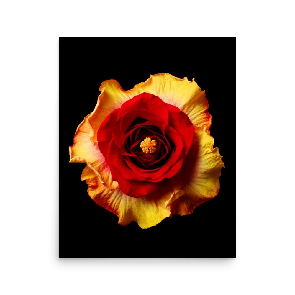 enhanced-matte-paper-poster-(in)-16x20-front-6a7b638c29ef8.jpg