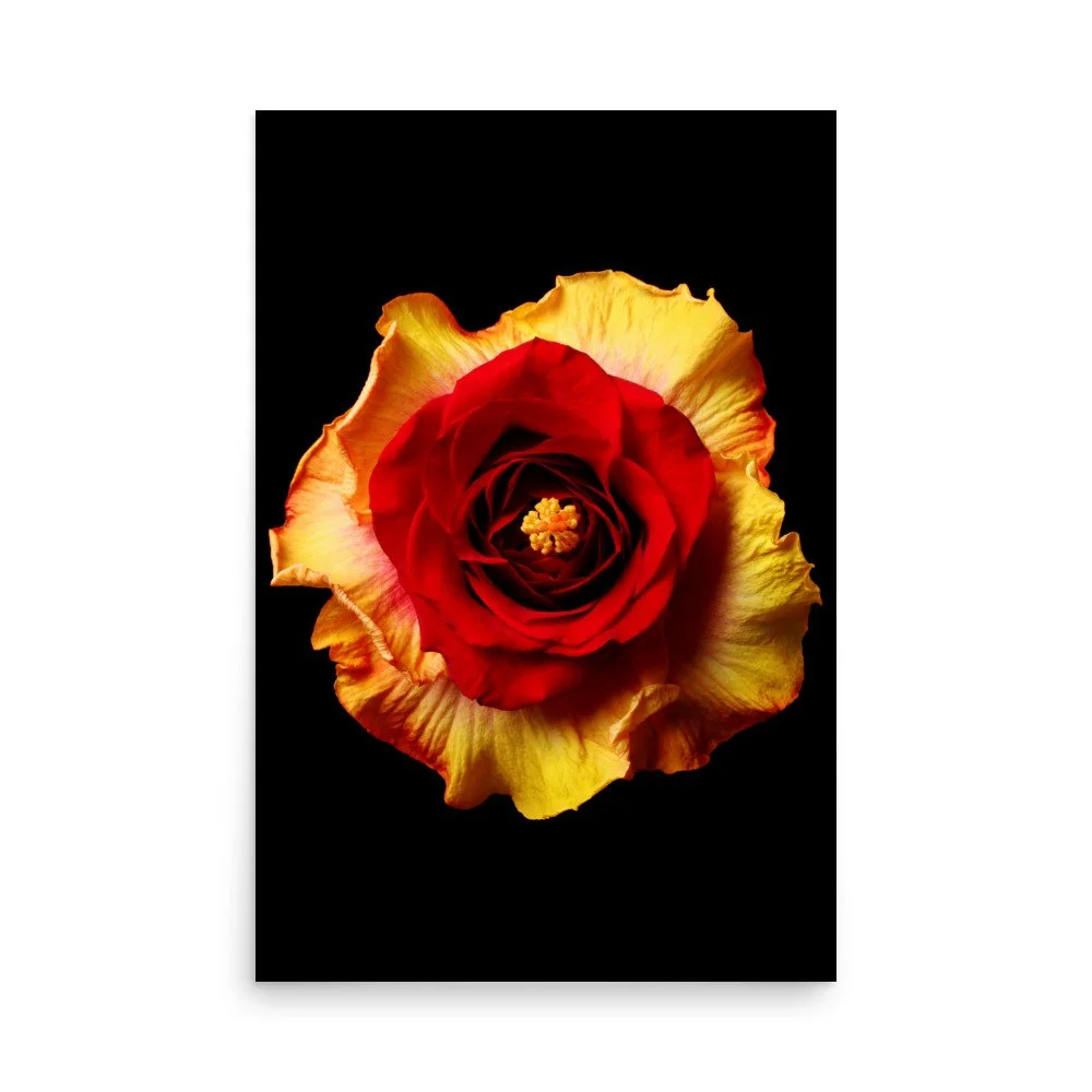 enhanced-matte-paper-poster-(in)-24x36-front-6a7b638c2a87a.jpg