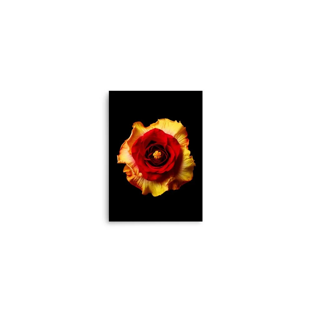 enhanced-matte-paper-poster-(in)-5x7-front-6a7b638c2a8de.jpg