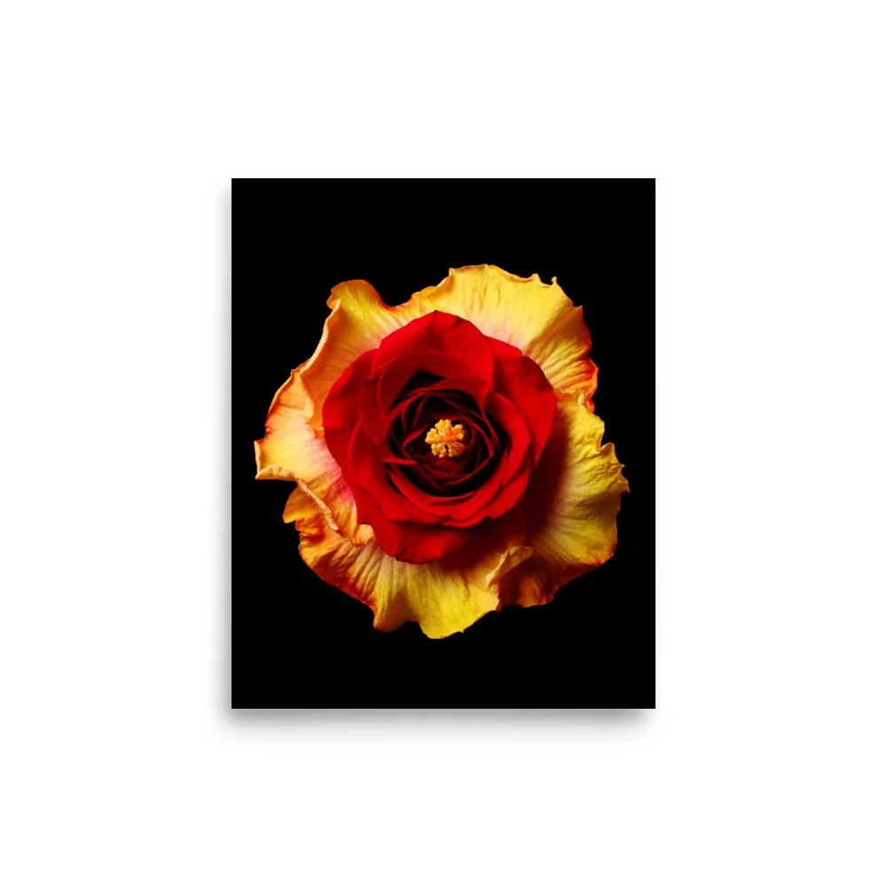 enhanced-matte-paper-poster-(in)-8x10-front-6a7b638c2a923.jpg