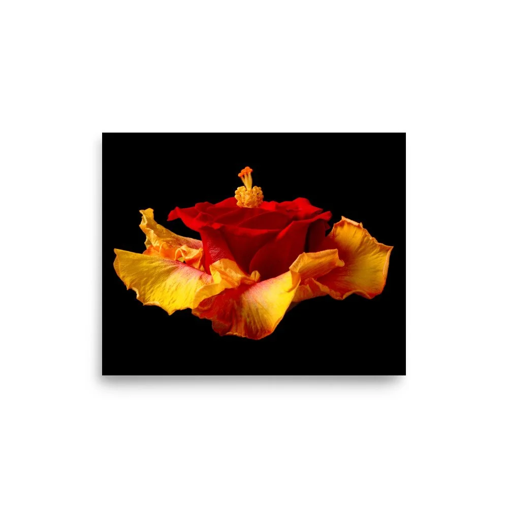 enhanced-matte-paper-poster-(in)-8x10-front-6a7b6fa8c3890.jpg