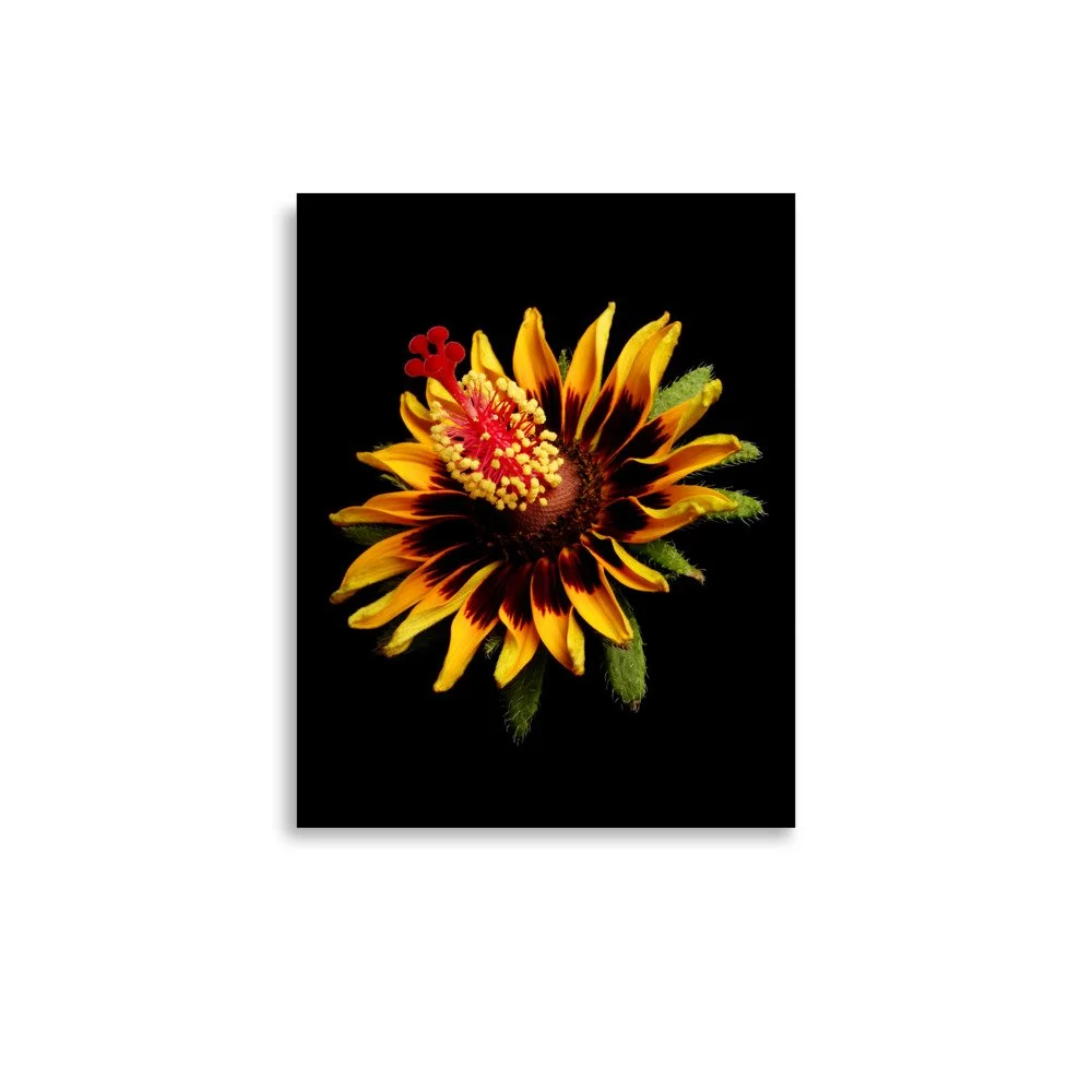 enhanced-matte-paper-poster-(in)-11x14-front-6a7b7e2c4aa93.jpg