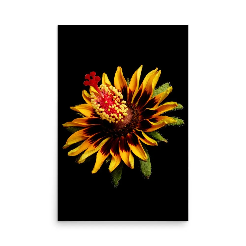 enhanced-matte-paper-poster-(in)-24x36-front-6a7b7e2c4ab38.jpg