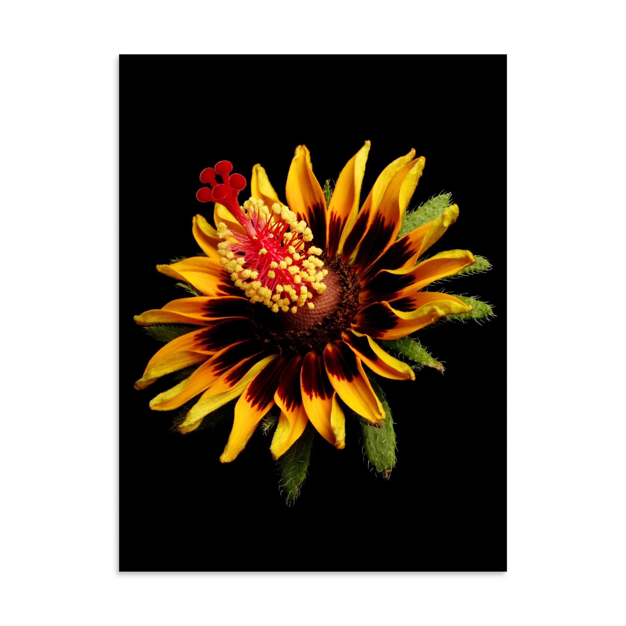enhanced-matte-paper-poster-(in)-30x40-front-6a7b7e2c4ab90.jpg