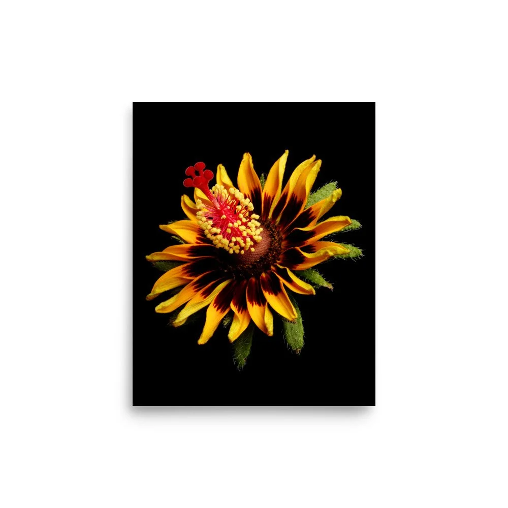 enhanced-matte-paper-poster-(in)-8x10-front-6a7b7e2c4abe8.jpg