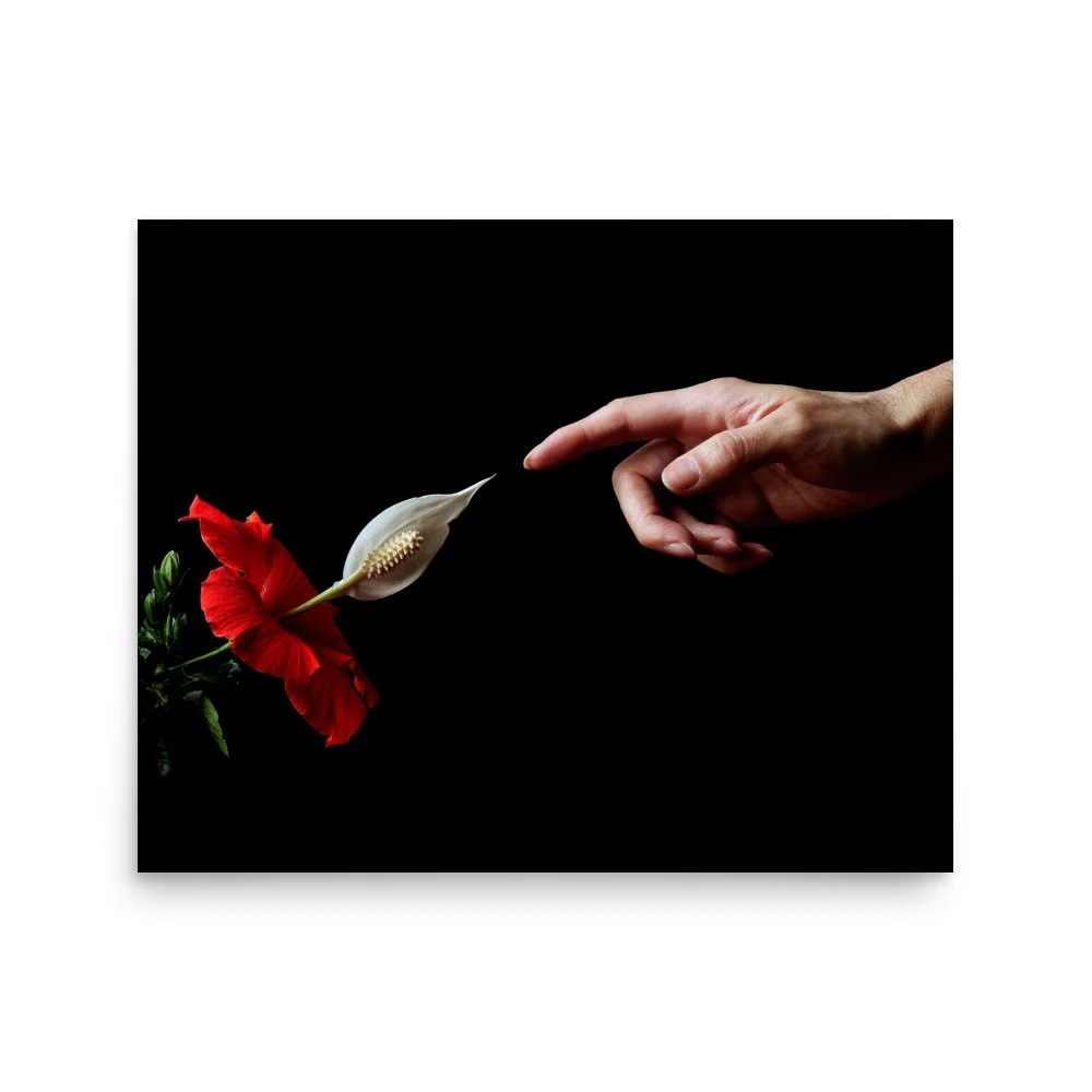 enhanced-matte-paper-poster-(in)-16x20-front-6a7b83e36812b.jpg