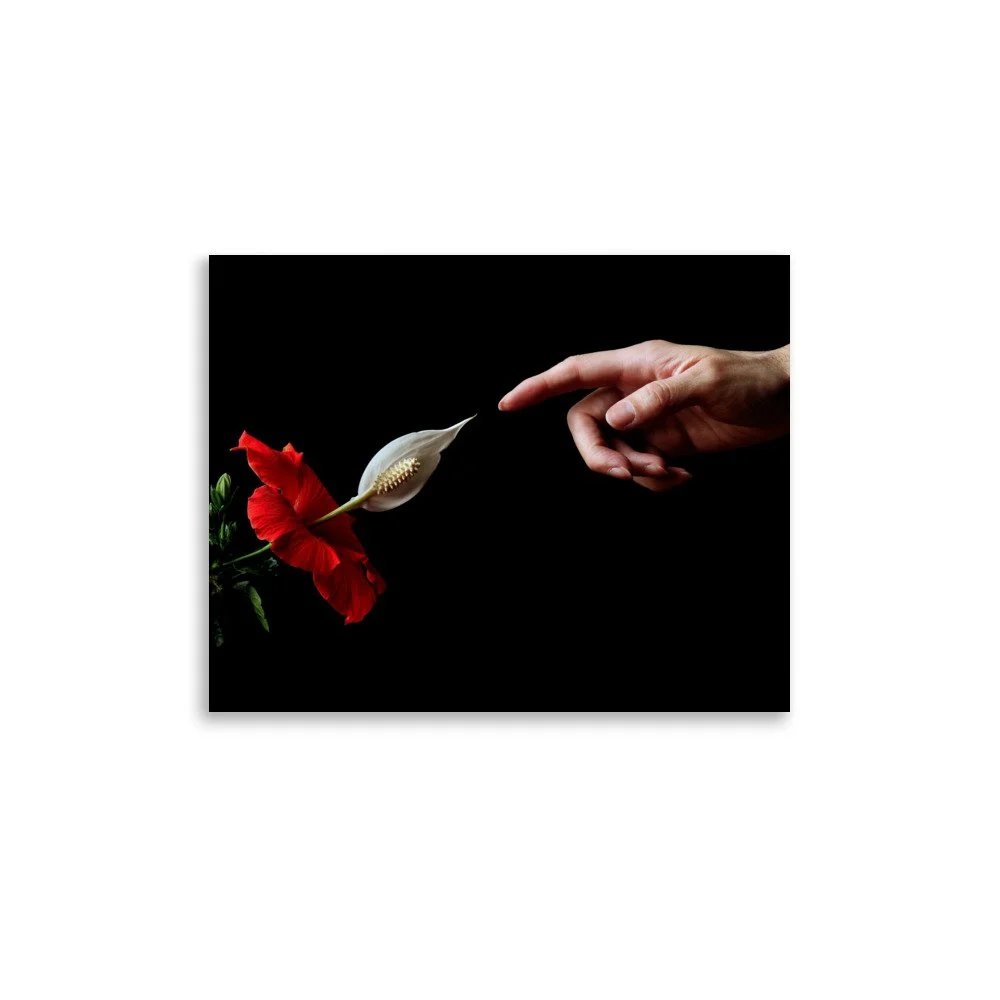 enhanced-matte-paper-poster-(in)-11x14-front-6a7b83e368e34.jpg