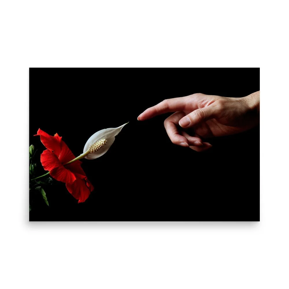 enhanced-matte-paper-poster-(in)-24x36-front-6a7b83e368ec1.jpg