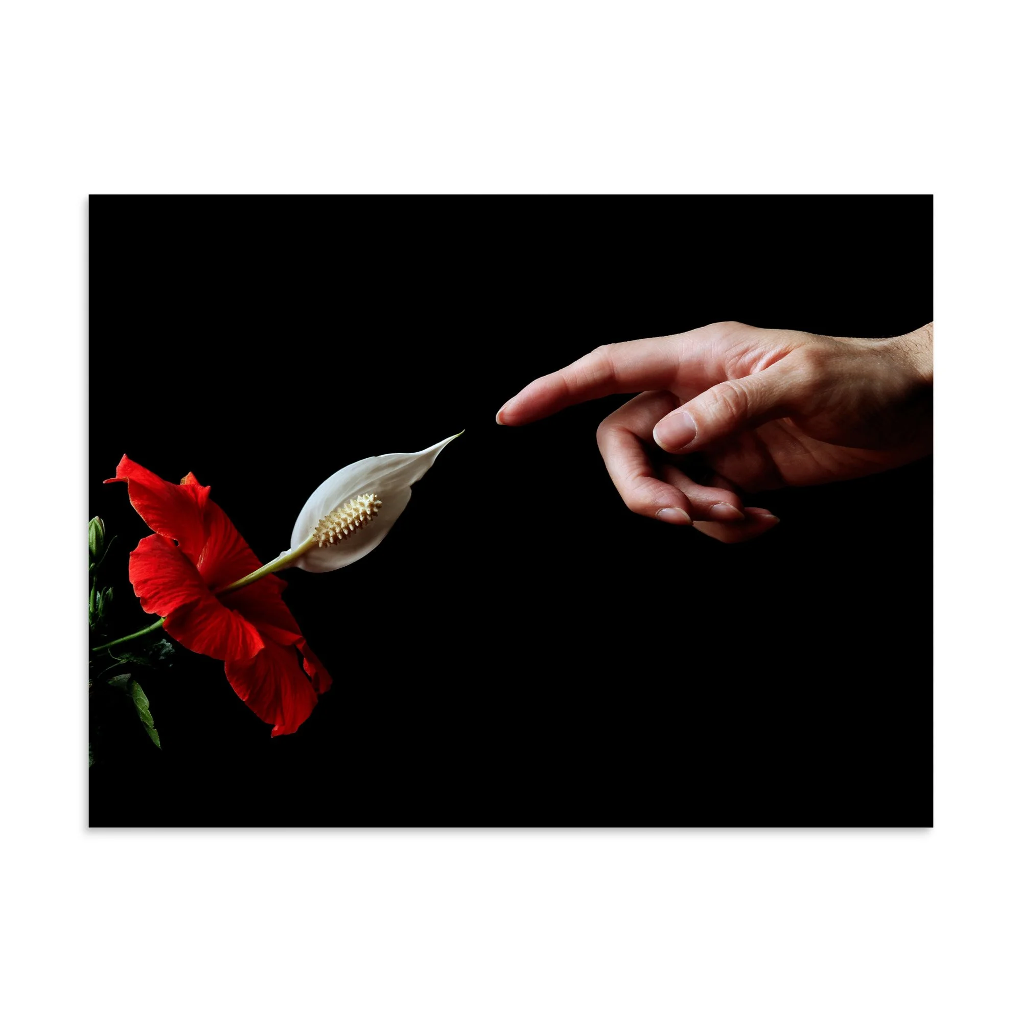 enhanced-matte-paper-poster-(in)-30x40-front-6a7b83e368f0d.jpg