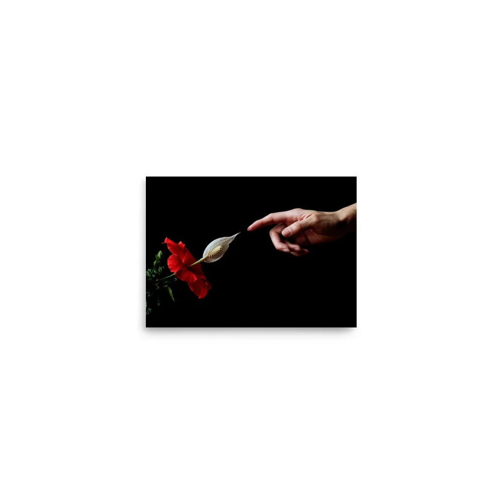 enhanced-matte-paper-poster-(in)-5x7-front-6a7b83e368f2c.jpg