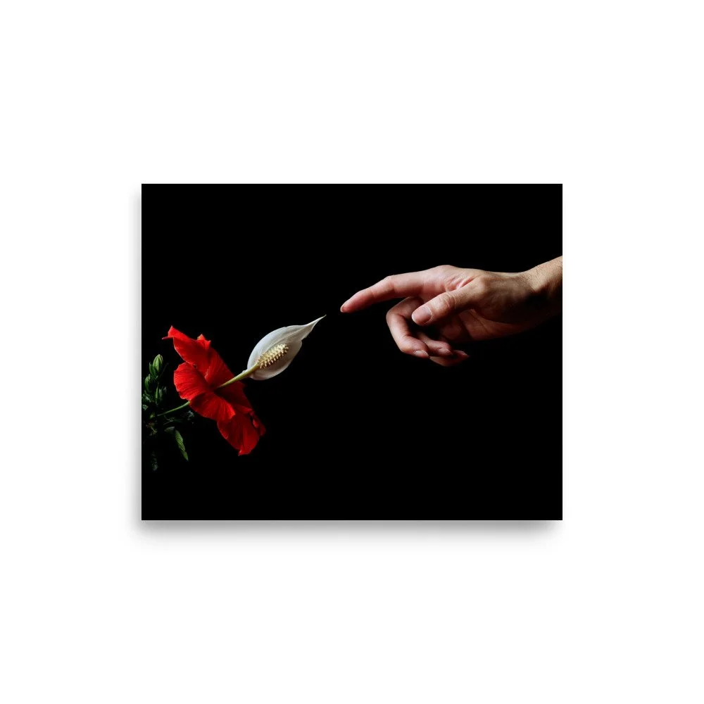 enhanced-matte-paper-poster-(in)-8x10-front-6a7b83e368f63.jpg