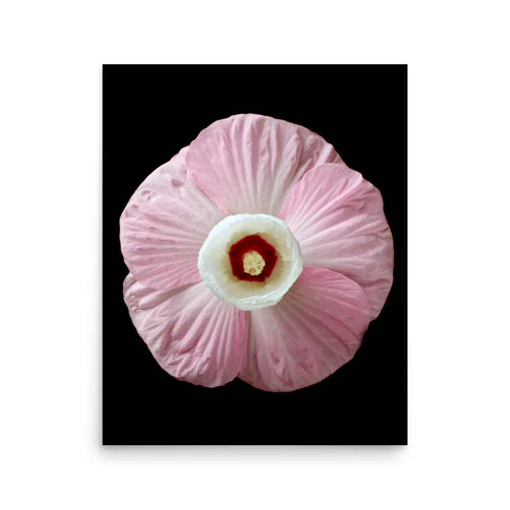 enhanced-matte-paper-poster-(in)-16x20-front-6a7e61860bfe1.jpg