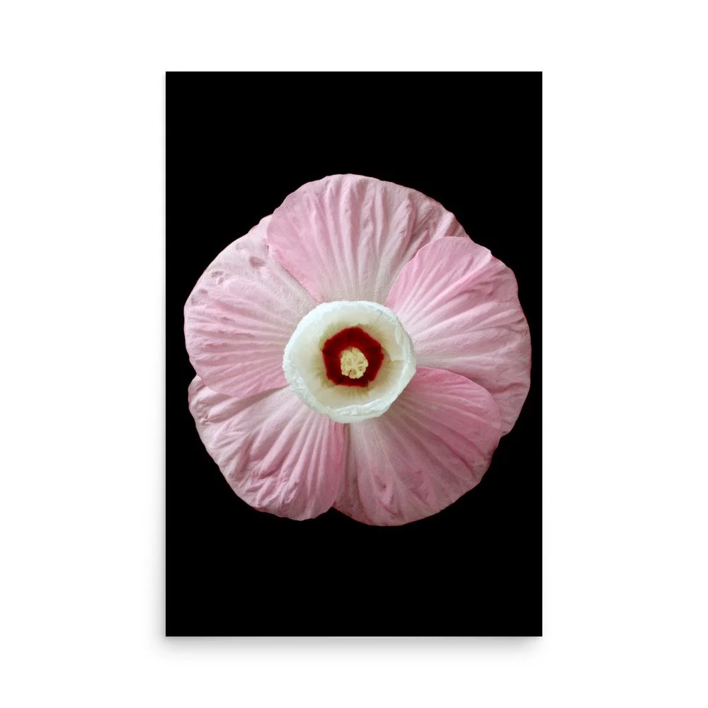 enhanced-matte-paper-poster-(in)-24x36-front-6a7e61860ca0f.jpg