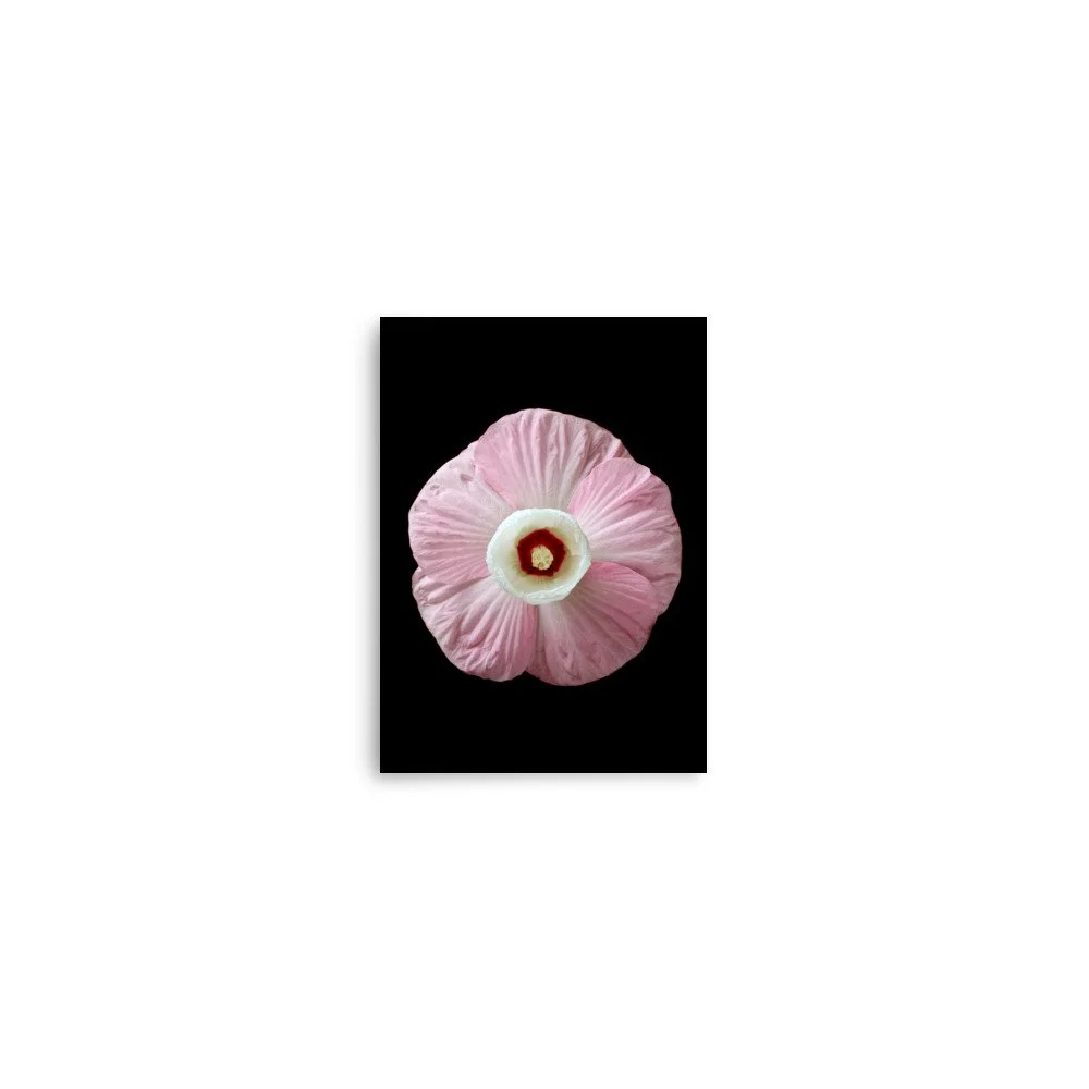 enhanced-matte-paper-poster-(in)-5x7-front-6a7e61860ca77.jpg