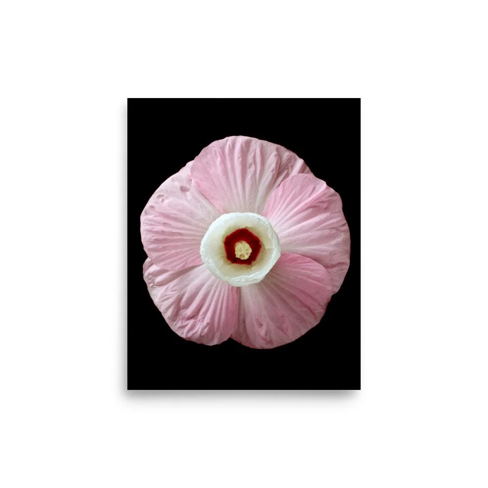 enhanced-matte-paper-poster-(in)-8x10-front-6a7e61860cab8.jpg