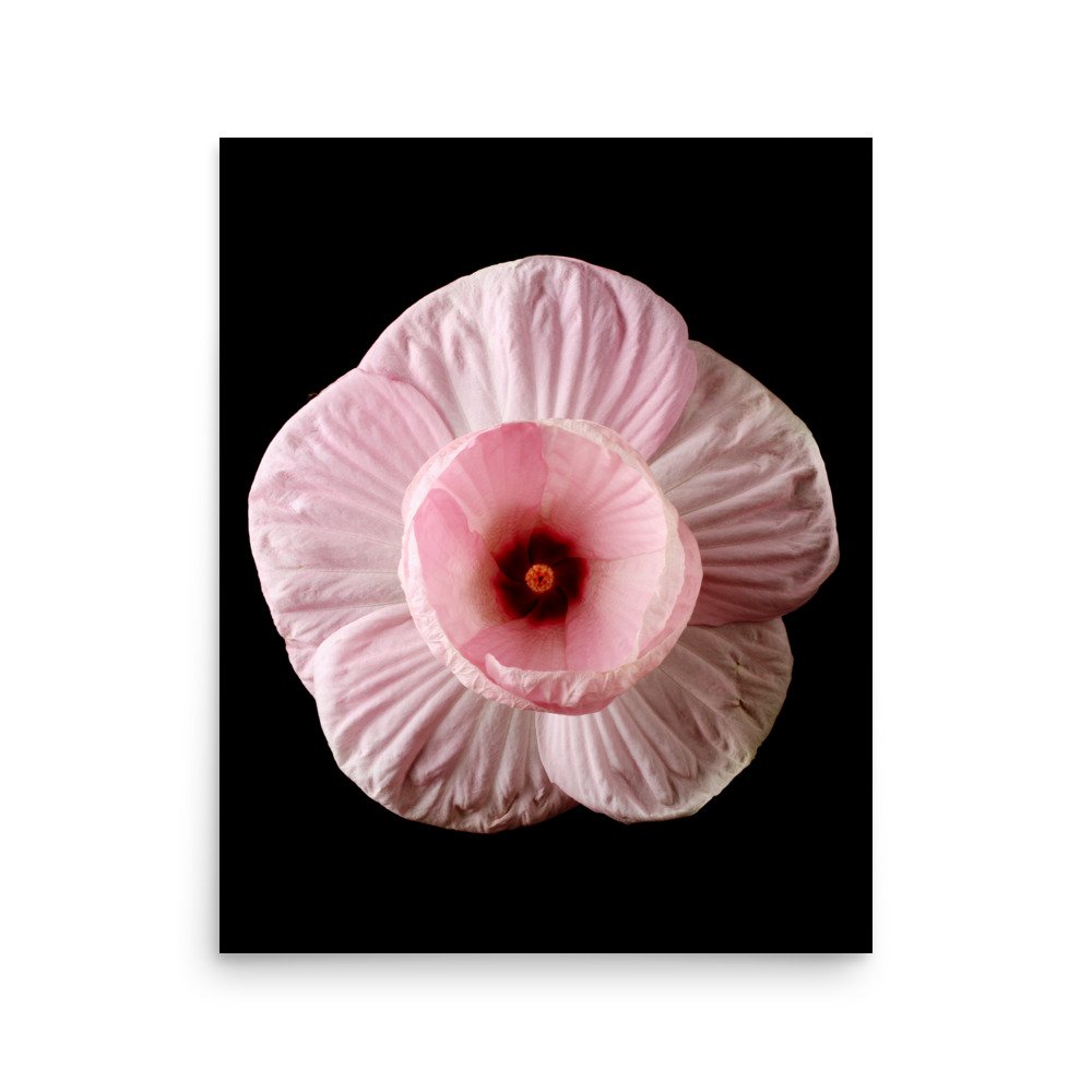 enhanced-matte-paper-poster-(in)-16x20-front-6a7f45776af25.jpg