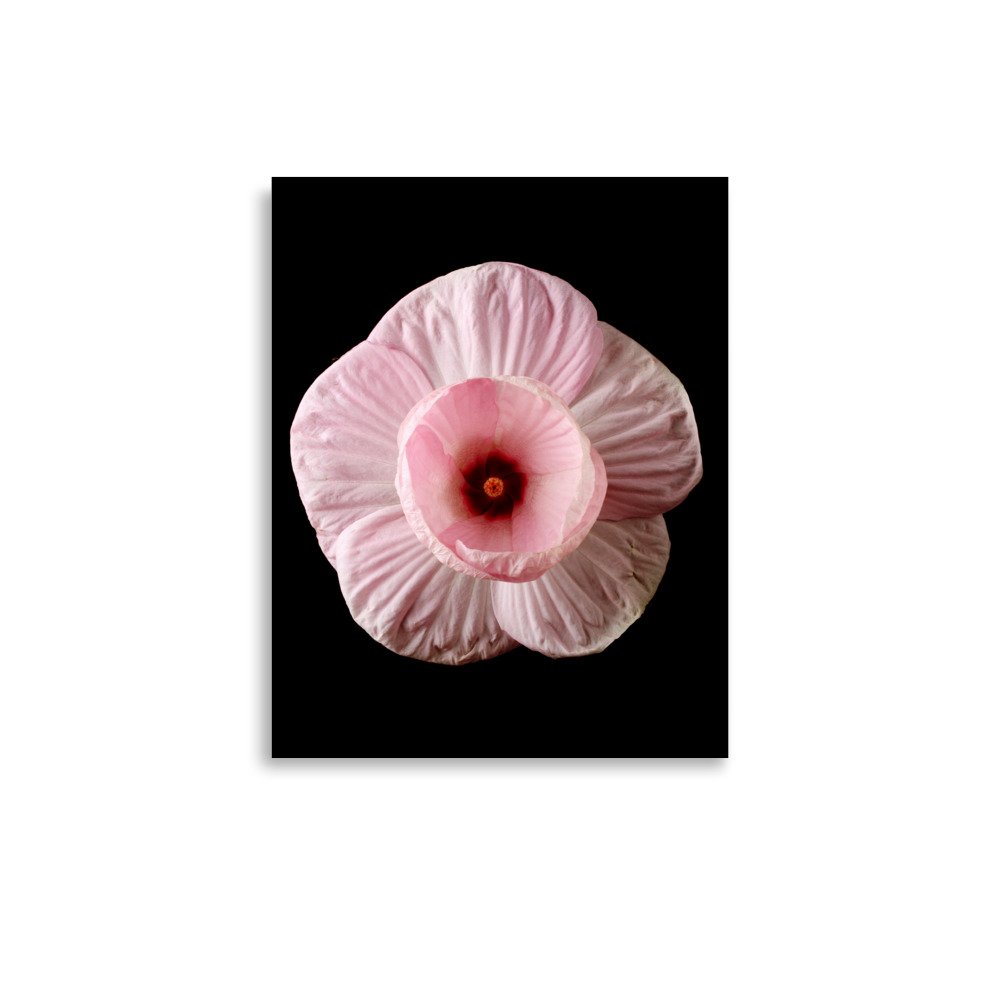 enhanced-matte-paper-poster-(in)-11x14-front-6a7f45776ba2d.jpg