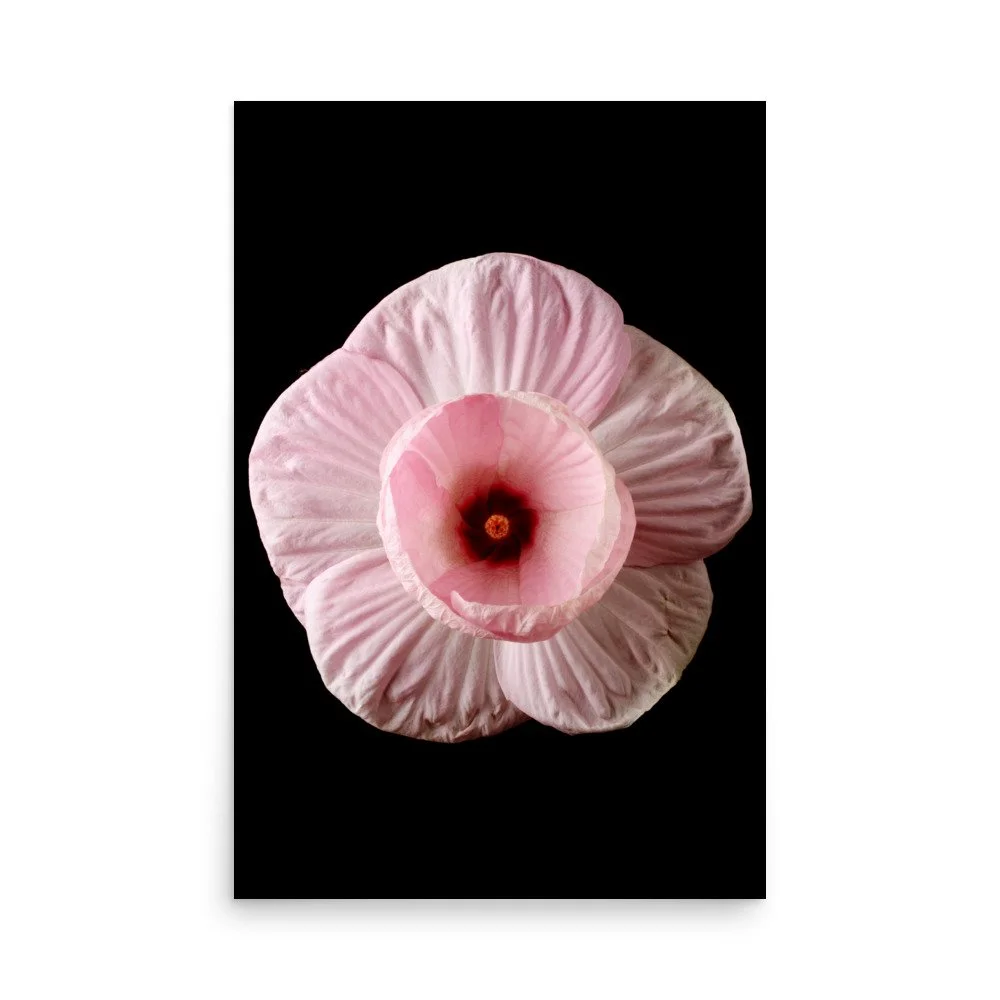 enhanced-matte-paper-poster-(in)-24x36-front-6a7f45776babd.jpg