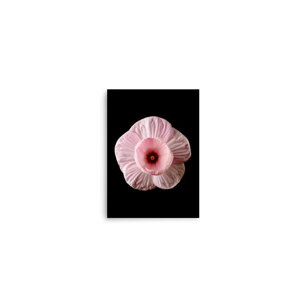 enhanced-matte-paper-poster-(in)-5x7-front-6a7f45776bb22.jpg