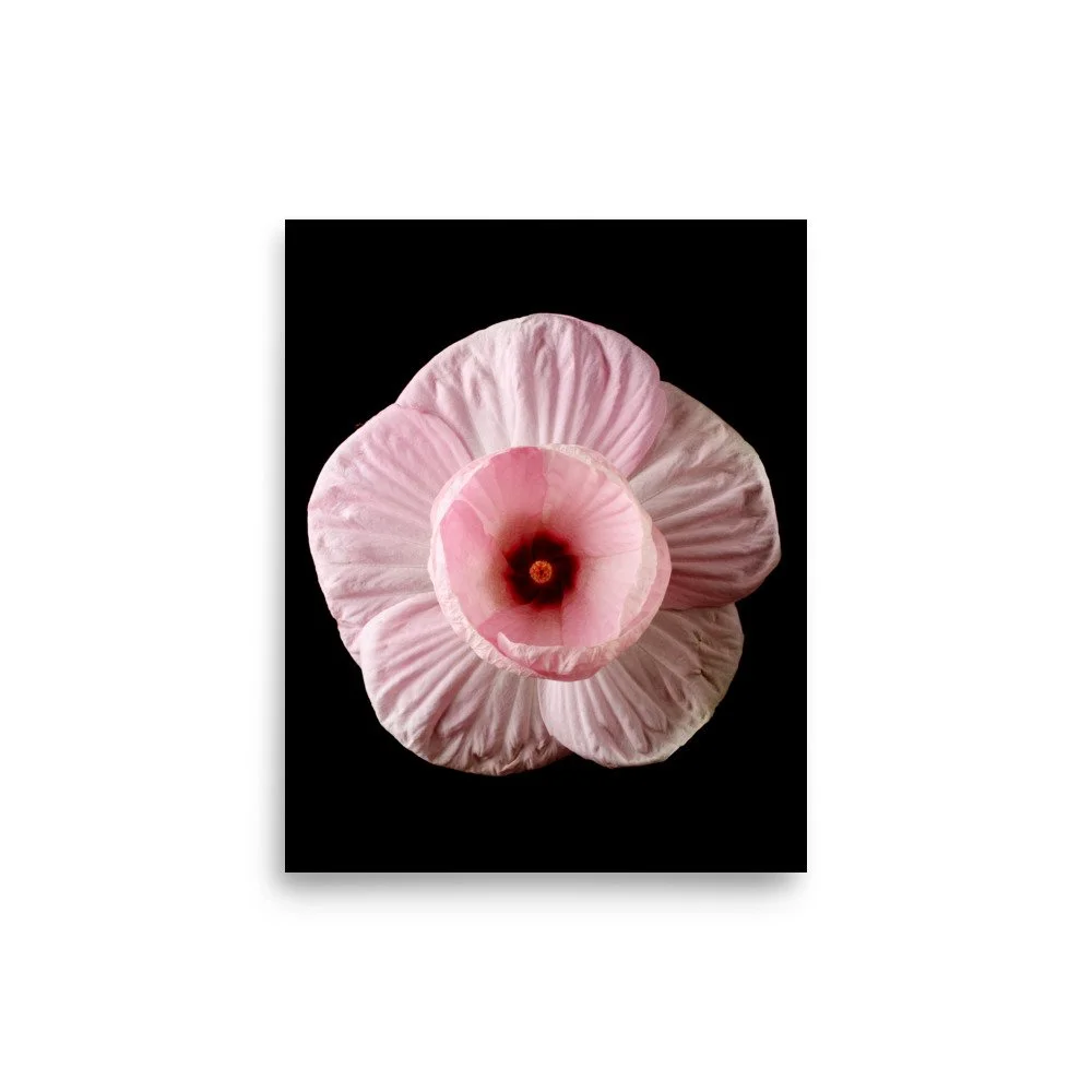 enhanced-matte-paper-poster-(in)-8x10-front-6a7f45776bb68.jpg