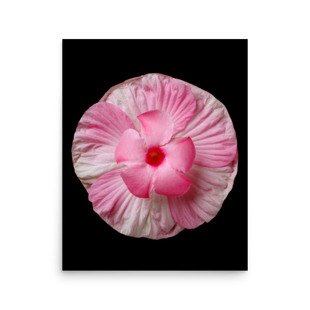 enhanced-matte-paper-poster-(in)-16x20-front-6a7f537586a83.jpg