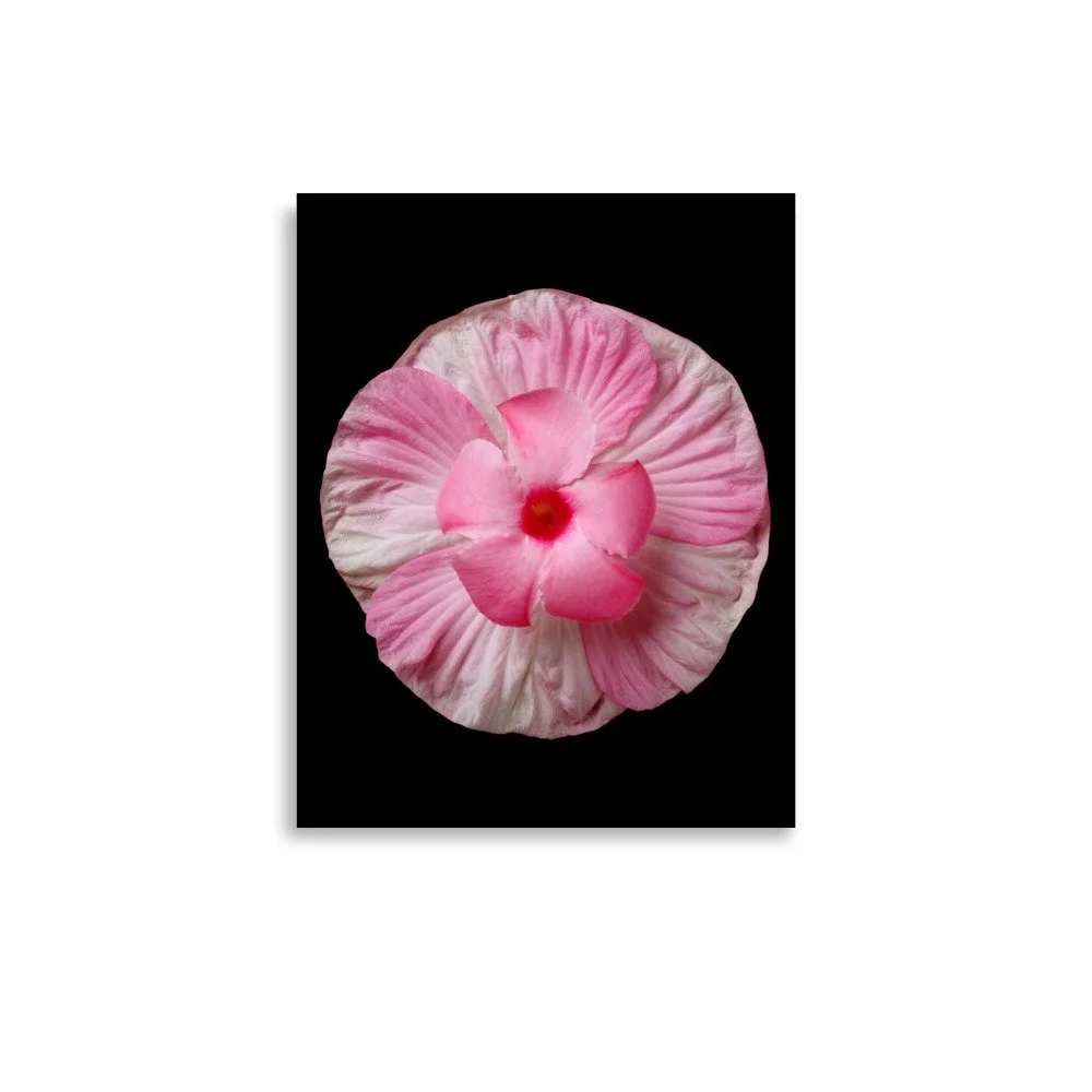 enhanced-matte-paper-poster-(in)-11x14-front-6a7f537587aa0.jpg