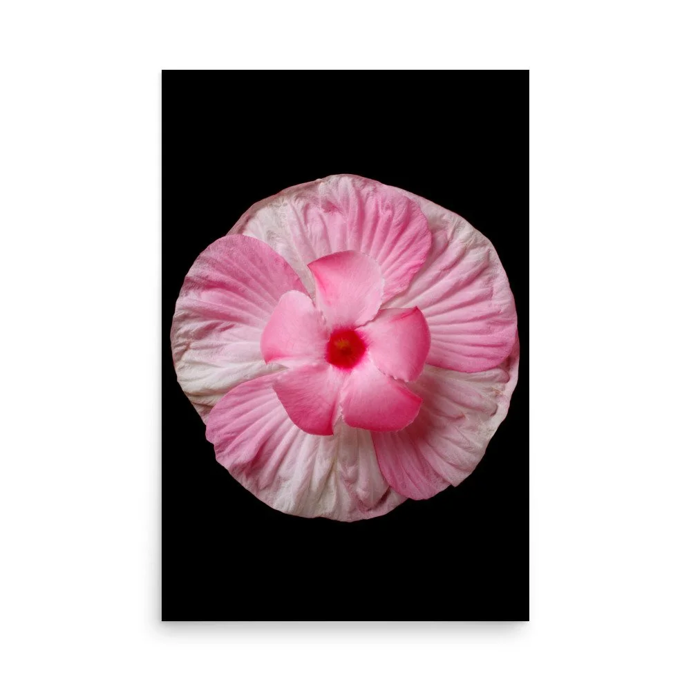 enhanced-matte-paper-poster-(in)-24x36-front-6a7f537587b0e.jpg