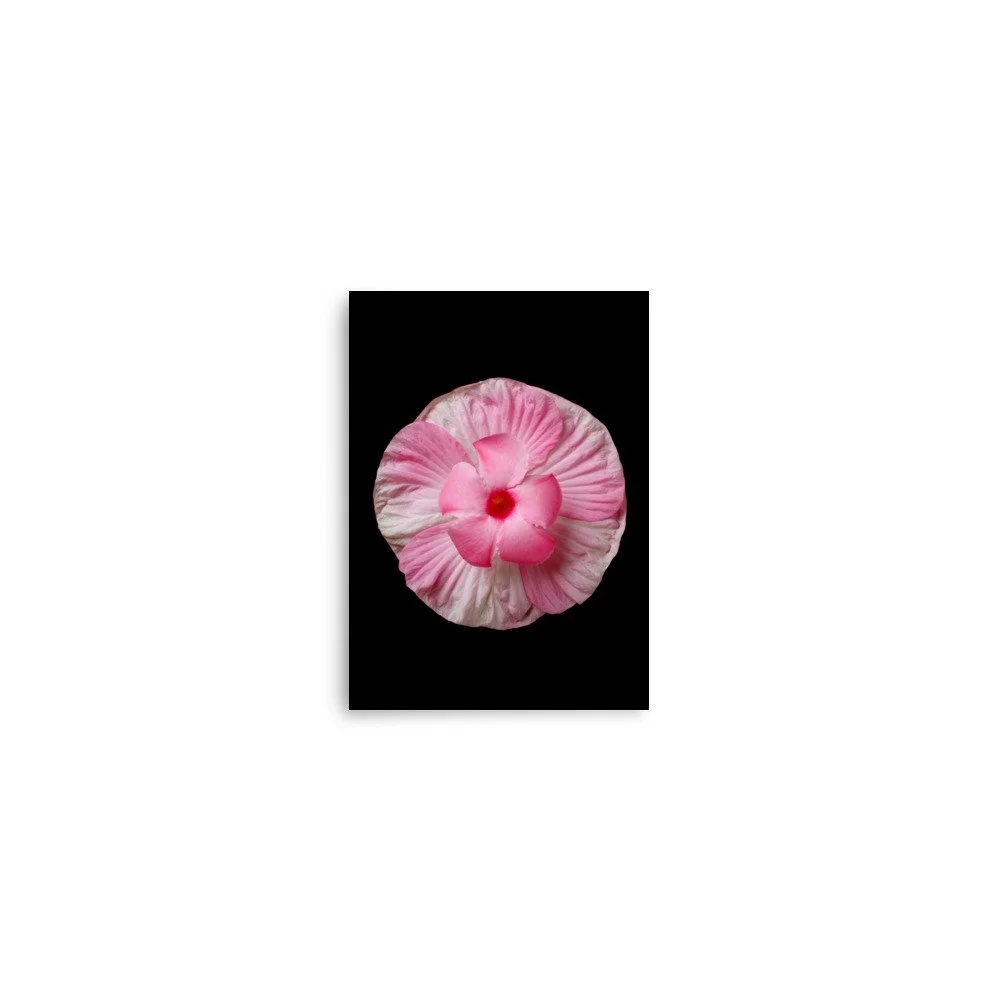 enhanced-matte-paper-poster-(in)-5x7-front-6a7f537587b67.jpg