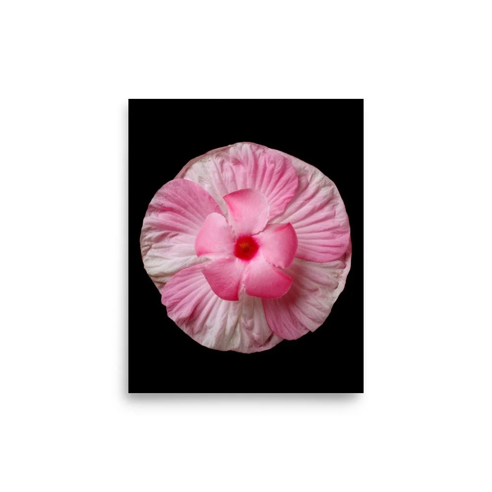 enhanced-matte-paper-poster-(in)-8x10-front-6a7f537587b94.jpg