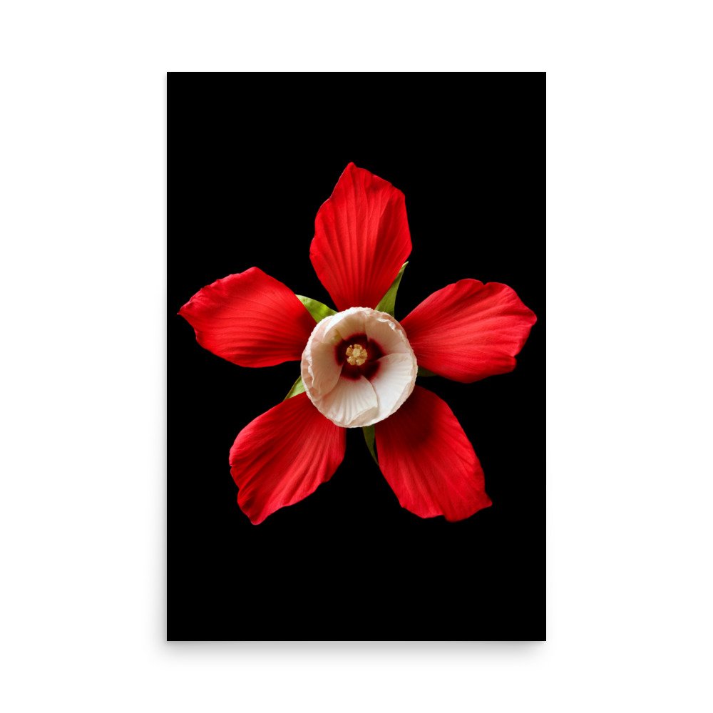 enhanced-matte-paper-poster-(in)-24x36-front-6a7f5c0c5dac6.jpg